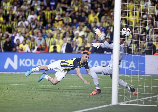 凭借才智和 凭借才智和