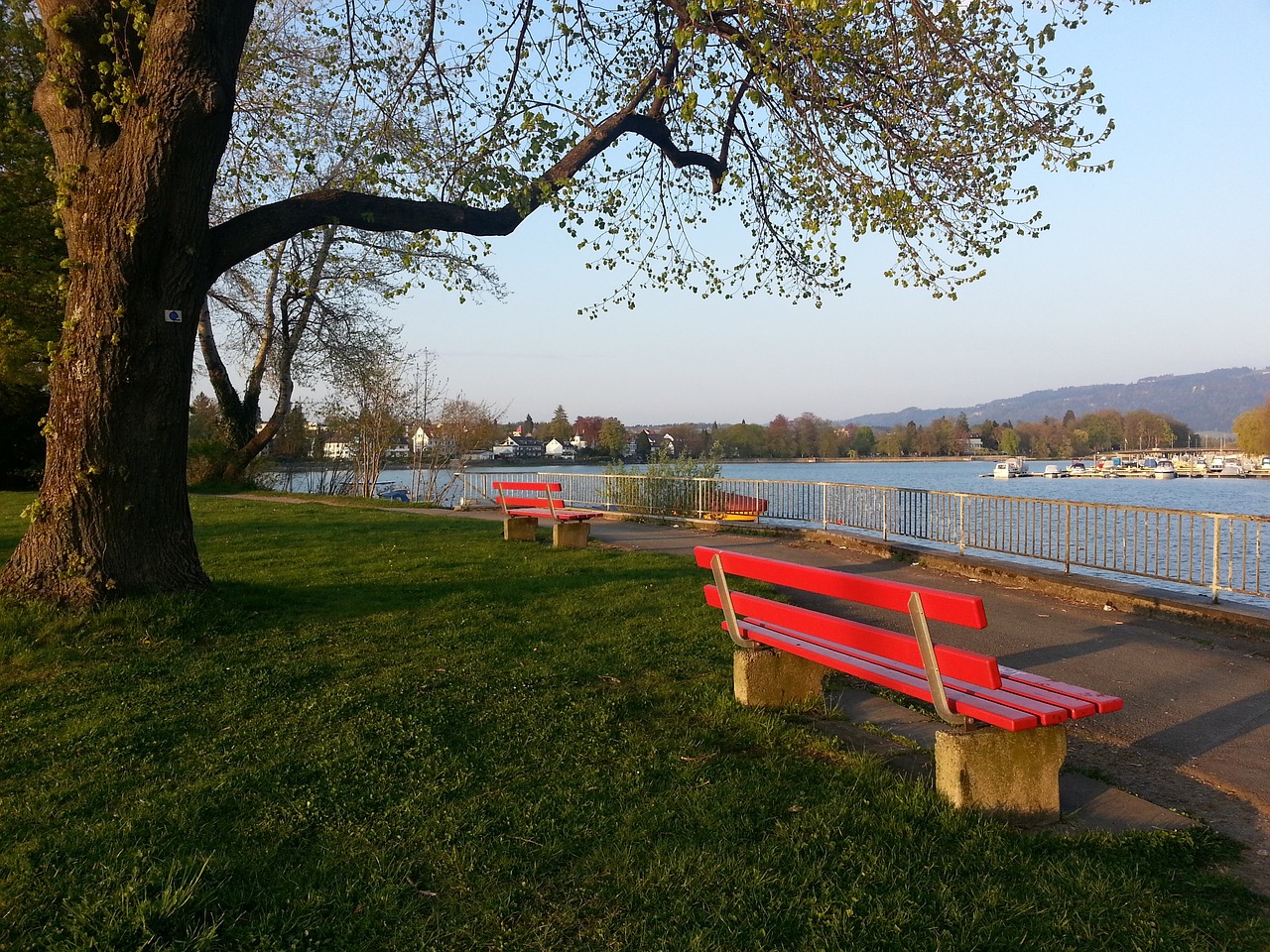 但风格固化 但风格固化