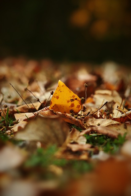 了新的动力 了新的动力