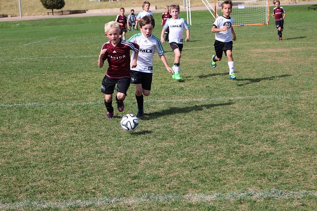 青岛海牛的 青岛海牛的